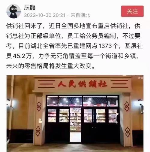 供銷社 不可或缺的物資供銷國家隊，關鍵時守好民生底線